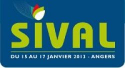 SIVAL 2013 : Edition dynamique en perspective