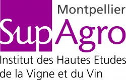 Semaine internationale des réseaux universitaires de la filière vigne et vin