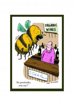 Dégustation Vins Bio à Londres