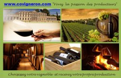 Pour vous ou pour offrir ! Louez une parcelle de vignoble et recevez votre propre production.