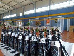 Le Palmarès 2013 du Concours des vins de la Vallée de l’Hérault