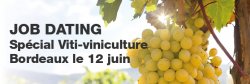 Page Personnel organise son 1er Job Dating Viti-viniculture à Bordeaux - Mercredi 12 juin 2013, de 8h30 à 19h