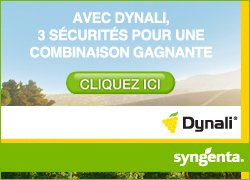 Dynali contre l’oïdium de la vigne, le black rot et le brenner