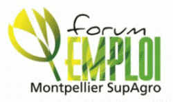 Le Forum Emploi innove avec une nouvelle plateforme numérique de services