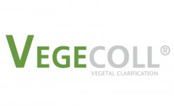 Nouvelle origine végétale autorisée en oenologie !!