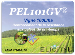 PEL101GV® un éliciteur qui augmente la résistance au gel