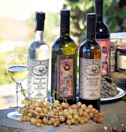 Soyez l'ambassadeur des vins de Fenech, le vin chic que vos clients recherchent.