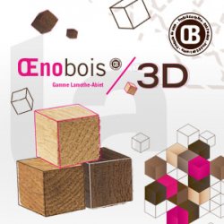 Œnobois 3D : Lamothe-Abiet poursuit son développement dans les bois pour l’œnologie.