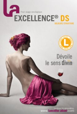 EXCELLENCE® DS, dévoile le sens divin !