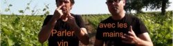 Venez découvrir l'engagement traçabilité des vignerons Terra Vitis !