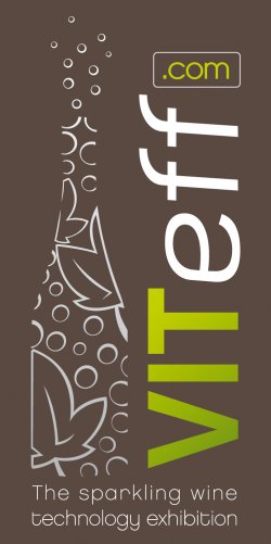 13 ème édition du VITeff - 13 au 16 octobre 2015