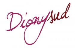 Nouveau souffle pour le salon Dionysud