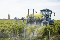 Les apports foliaires en vigne