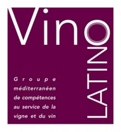 XIIème Journée Technique Vino Latino : La naturalité des vins 