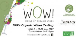 Vinexpo 2017 : un espace 100% vin bio