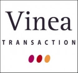 Investissement dans le vignoble, où en sommes-nous? Hier, aujourd’hui et demain…