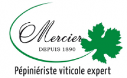 Le métier de pépiniériste viticole en vidéo 