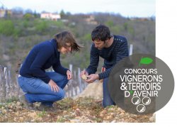 Lancement de la 3ème édition du concours Vignerons & Terroirs d’Avenir doté de 75000€ de gain.