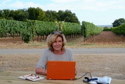 Living in Cognac, le blog qui parle des vignes de cognac mais pas que...