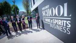 Le Mastère Spécialisé en Commerce International des Vins & Spiritueux recrute