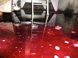 Gestion des sinistres en cours de vinification