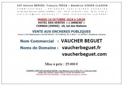 Vente aux enchères publiques : nom commercial et noms de domaine VAUCHER BEGUET