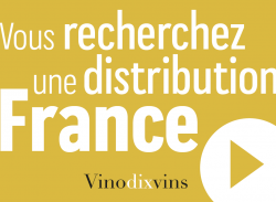 Vinodixvins, GIE de commercialisation