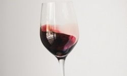 Participez aux webinaires techniques Wine Quality Solutions