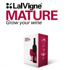 Agir à la vigne pour réduire les dégâts