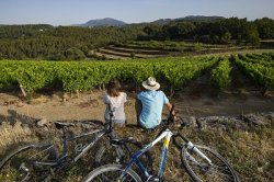 Vignobles Sud Ardèche<br>Fascinant week-end - Du 17 au 20 octobre 2019