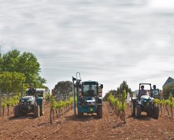 ARBOS AU SITEVI 2019, LE DÉFI EN FRANCE CONTINUE