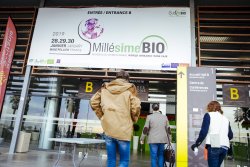 Millésime Bio 2020: The organic wine fair confirms its world leading position