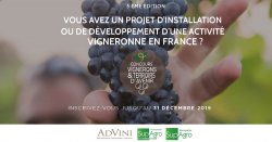 « Vignerons et Terroirs d'Avenir » Le Concours qui favorise l'installation des jeunes vignerons