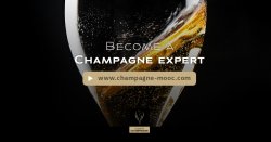 Discover the secrets of Champagne