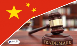 Organisation de réseau, stratégie de communication et défense de la Marque en Chine