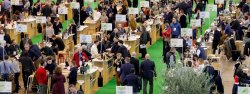 MILLÉSIME BIO 2021: A 100% DIGITAL BUSINESS FAIR