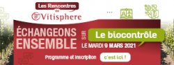 [EVENEMENT] Les rencontres Vitisphere : carrefour d’échanges sur le biocontrôle