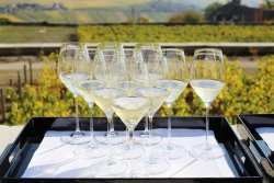 At what ideal temperature should Champagne be served? 