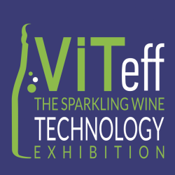 Les temps forts du VITeff 2021