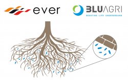 BluVite : la santé des plantes passe aussi par l’équilibre de la flore indigène du sol