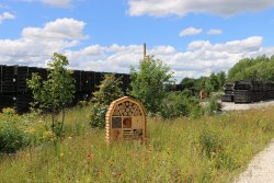 La Tonnellerie Sylvain place la biodiversité au coeur de son processus de maturation des merrains