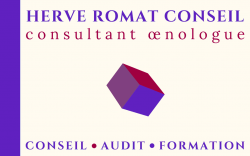 A quand la fin des pensées magiques-simplistes et simulacres ? L’œnologie devrait surtout être principe de réalité, pensée complexe, et pragmatisme