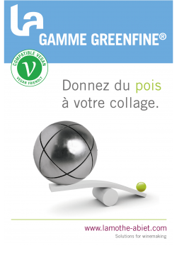 Collage des vins rouges : optez pour des alternatives Végan