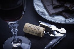 WEBINAR : Découvrez SÜBR, une nouvelle catégorie de bouchons alliant hautes performances et esthétisme haut de gamme