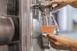 Couleur et durée de vie des vins rosés : agir en phase pré-fermentaire