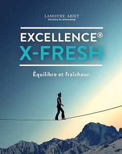 Équilibre des vins : optez pour la fraîcheur