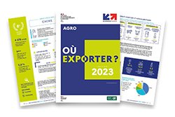 Depuis 15 ans, le livre blanc 