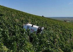 Retour d’expérience : « YV01 améliore le confort de travail, la santé et la sécurité dans les vignes »