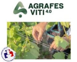 Derrière l’agrafe en bois AV4, un concentré d’innovations durables