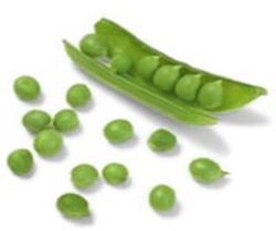 LittoFresh® : une gamme leader qui continue à innover !
